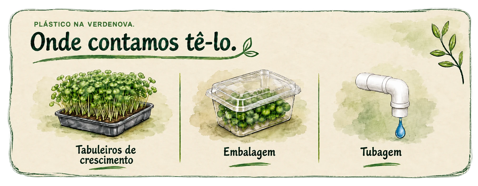 Plástico na VerdeNova – Onde contamos tê-lo. Tabuleiros de crescimento, Embalagem, Tubagem, Rótulos.